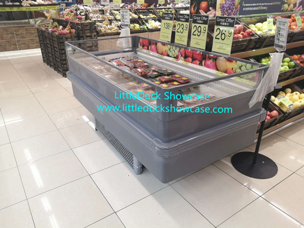 Supermarket Plugin Freezer Refrigerator for Meat Seafood Ice Cream