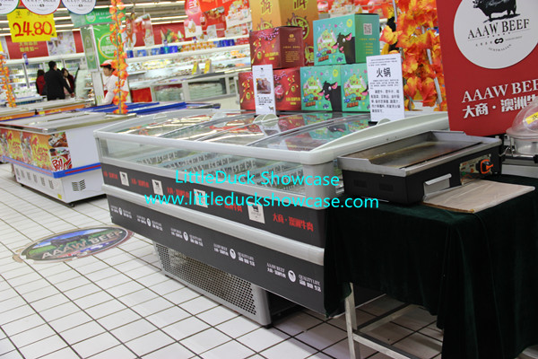 Supermarket Plugin Freezer Refrigerator for Meat Seafood Ice Cream