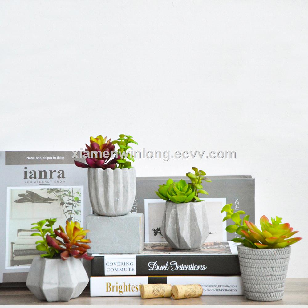 succulent flower pot planter for your home