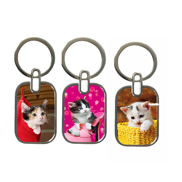 Suovenir gift Key chains 3D lenticular printing