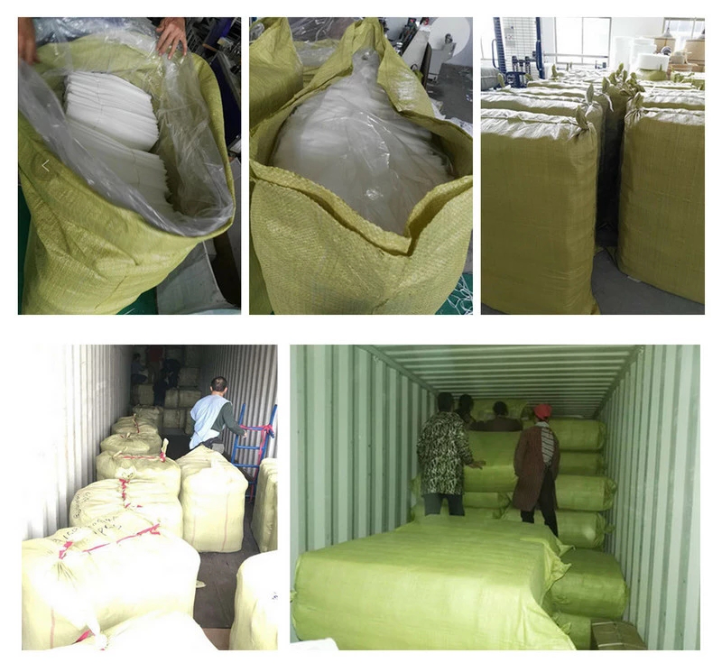 China Supplier Mothproof 100Polypropylene Nonwoven Fabric Plant Nursery Bag