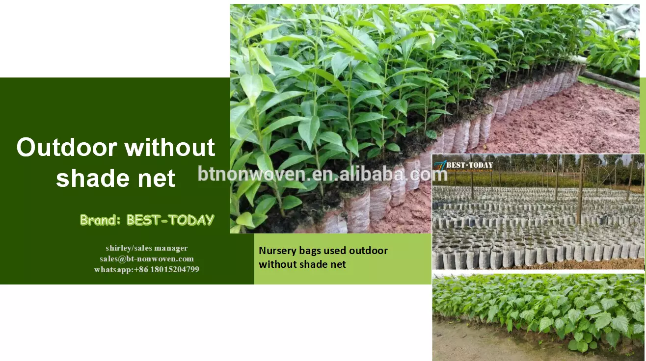 China Supplier Mothproof 100Polypropylene Nonwoven Fabric Plant Nursery Bag