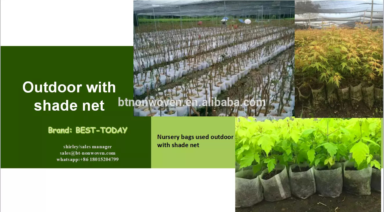 China Supplier Mothproof 100Polypropylene Nonwoven Fabric Plant Nursery Bag