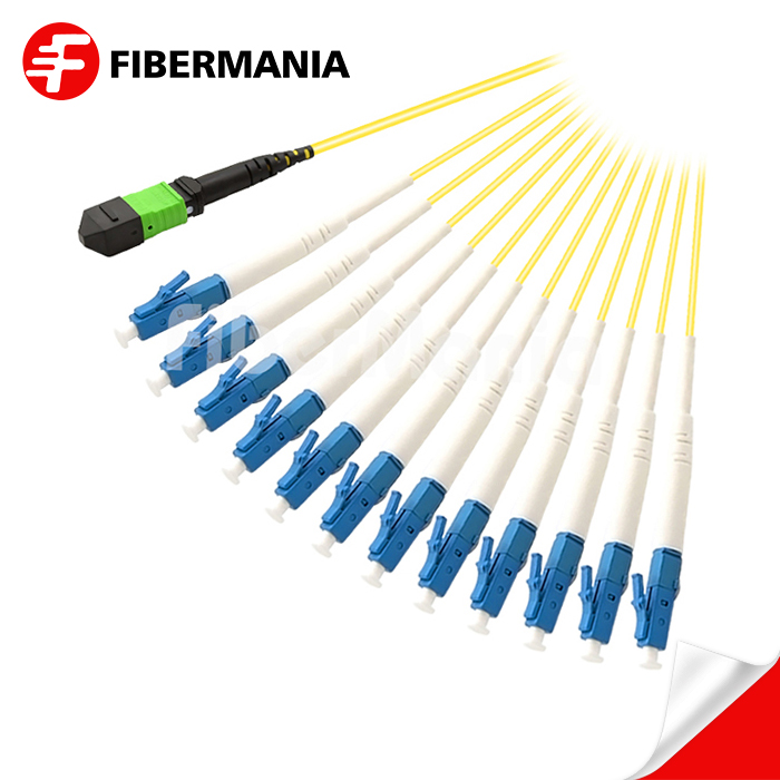 MTPAPC Female to 12 LC Simplex Fanout Cable 12 Fibers Single Mode 9125 1m MTPAPC Female to 12 LC Simplex Fanout Cable 12 Fibers Single Mode 9125 1m