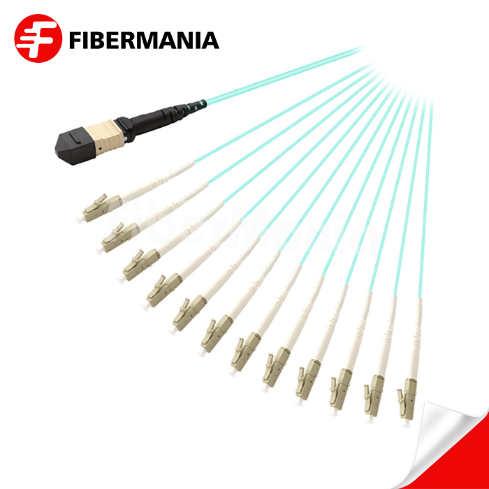 MTP Female to 12 LC Simplex Fanout Cable 12 Fibers Om3 50125 1m MTP Female to 12 LC Simplex Fanout Cable 12 Fibers Om3 50125 1m