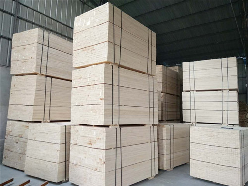 poplar wood lvllvbbest quality polar plywood