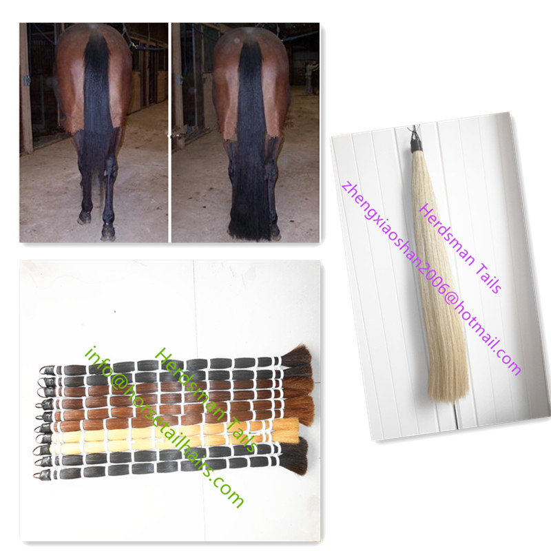 Western horse hair tail extension 36 long 1 pound blunt cut for showing horses