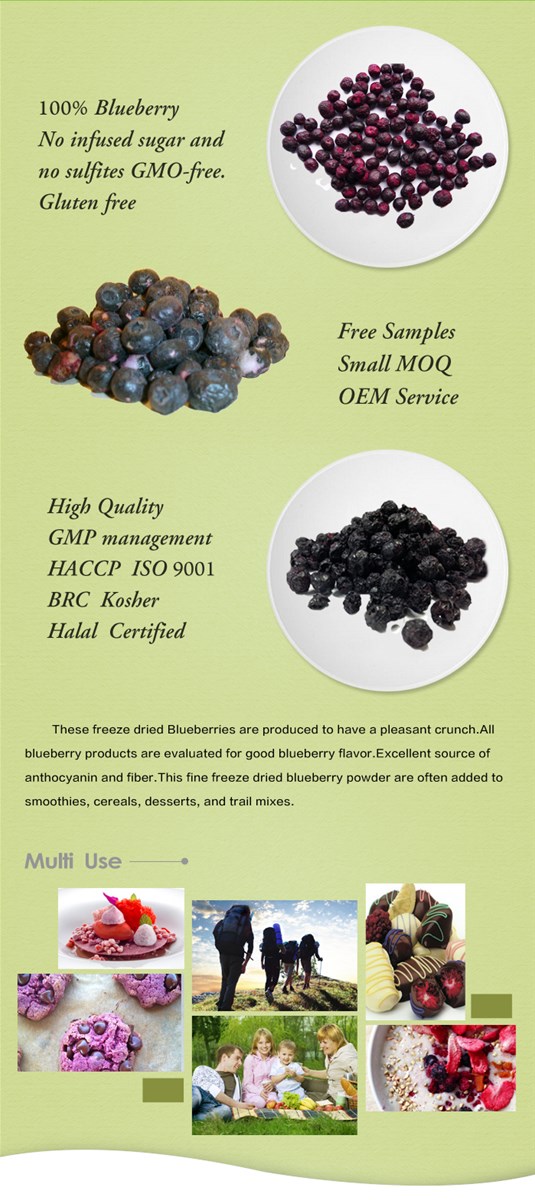 Kosher Certifoed Chinese Lyophilized Fruit Freeze Dried Blueberries origin North America Whatsapp 8613780690216