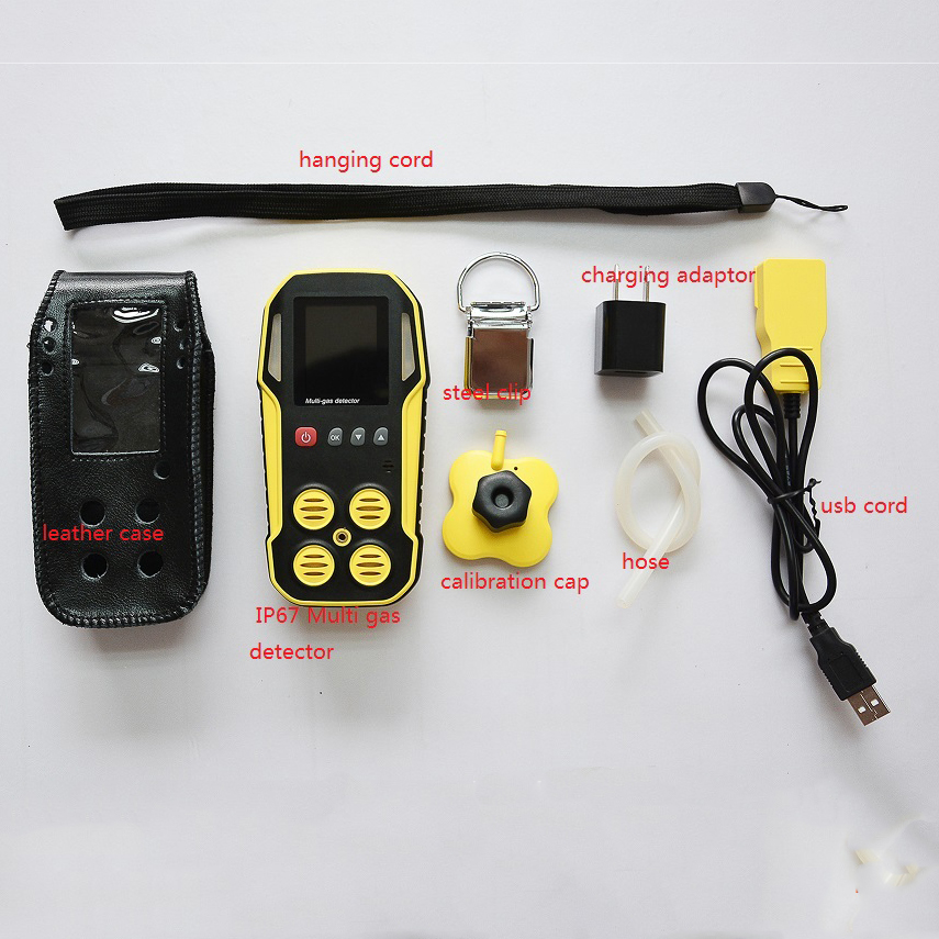 waterproof IP66 multi gas detecting alarm for COO2H2SCH4LELSO2NO2NOCO2