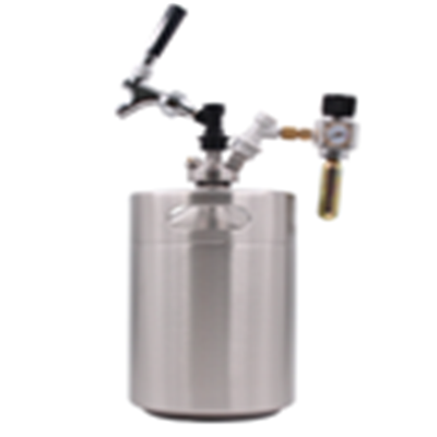 5 litre beer kegs with double ball lock spear
