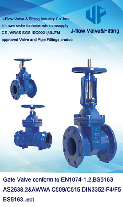 F4 resilient seated gate valve