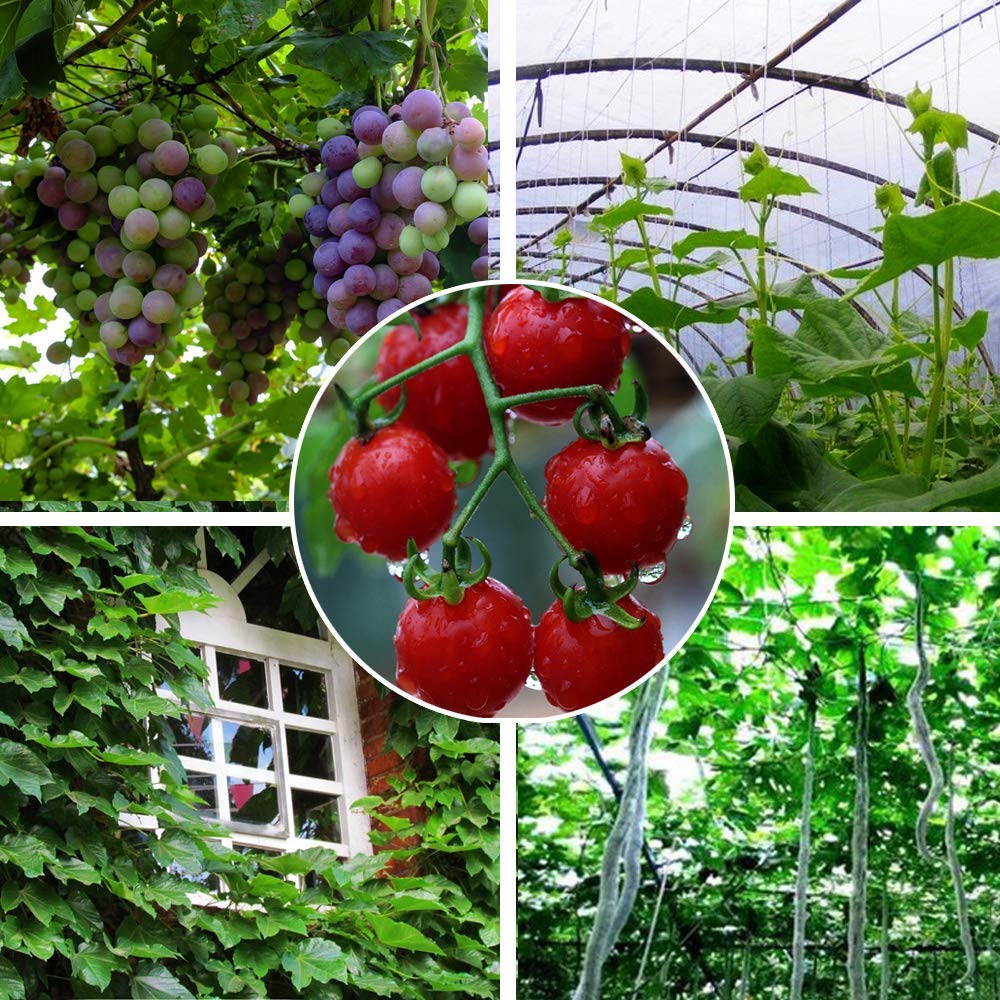 Nylon trellis nettinggarden nettingplant climbing nets