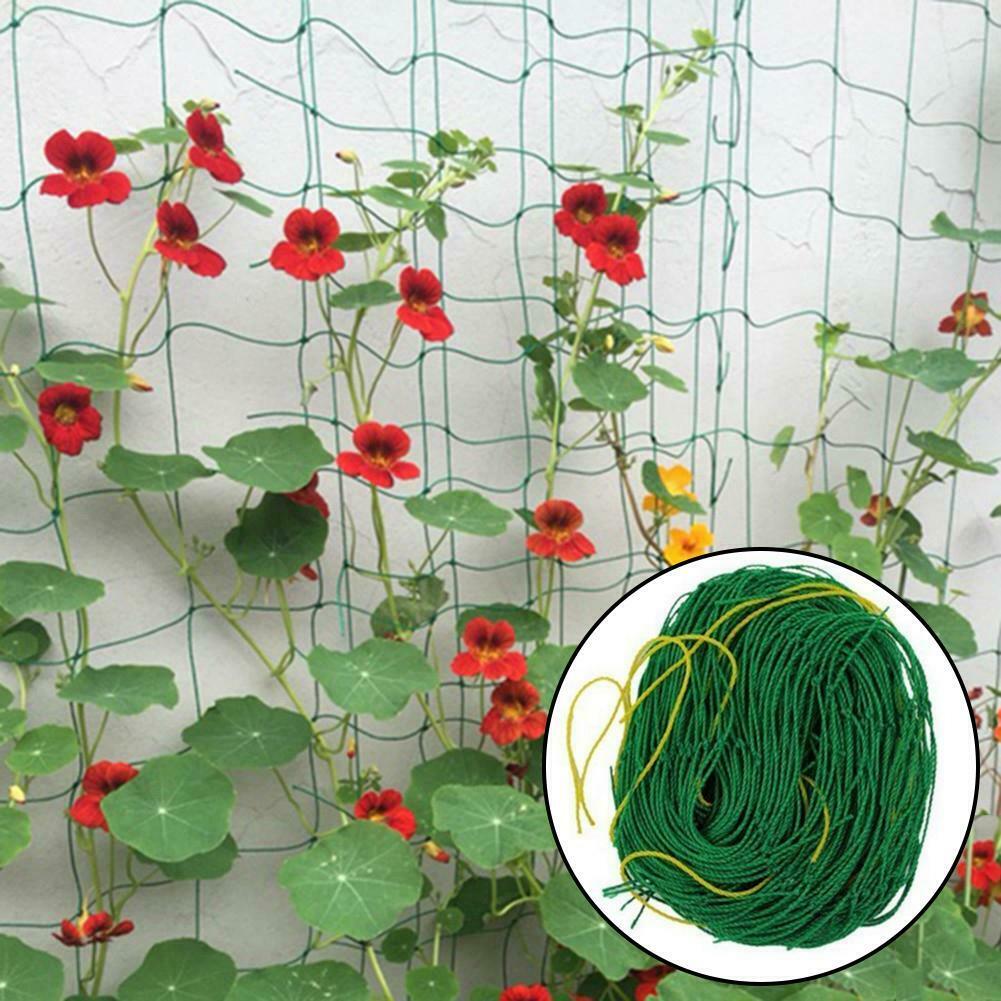 Nylon trellis nettinggarden nettingplant climbing nets