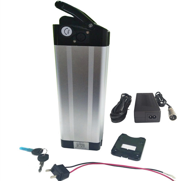 36V 48V electric bicycle rechargeable lithium Lead battery