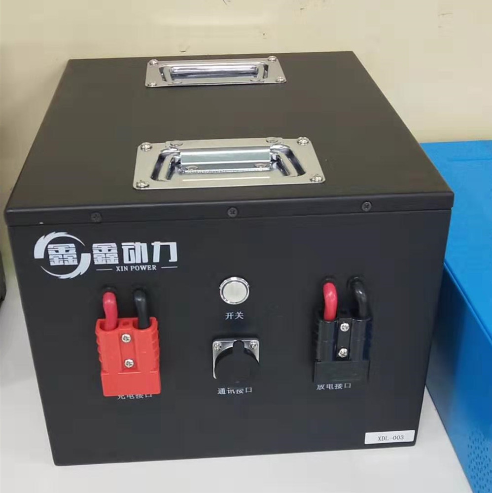 High Quality 1000w 48v 20ah lithium battery pack For AGV car