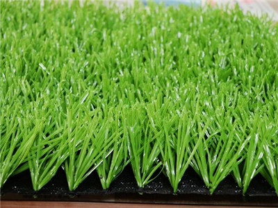 Sports Artificial Turf with Shape of U, W & Size of 50mm