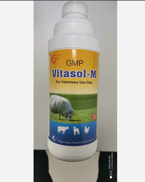 VitasolM for veterinary by Junyu Pharamceutical