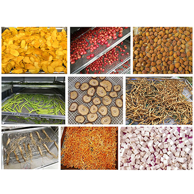 High Efficiency fish dehydrator fish drying machine or anchovies dryer machinedried catfish drying machinefish feed dr