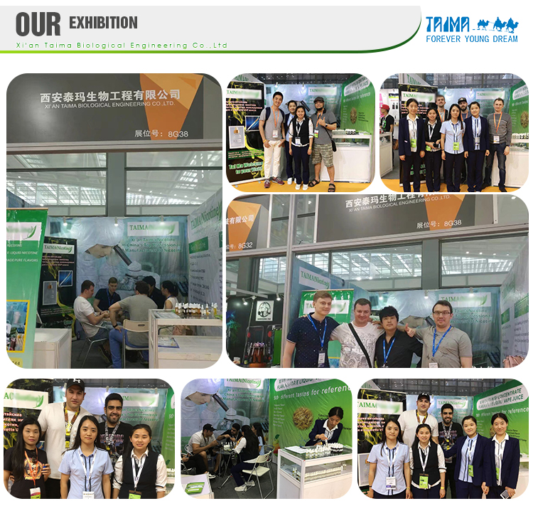 Taima cooling agent ws23 powder for food additive
