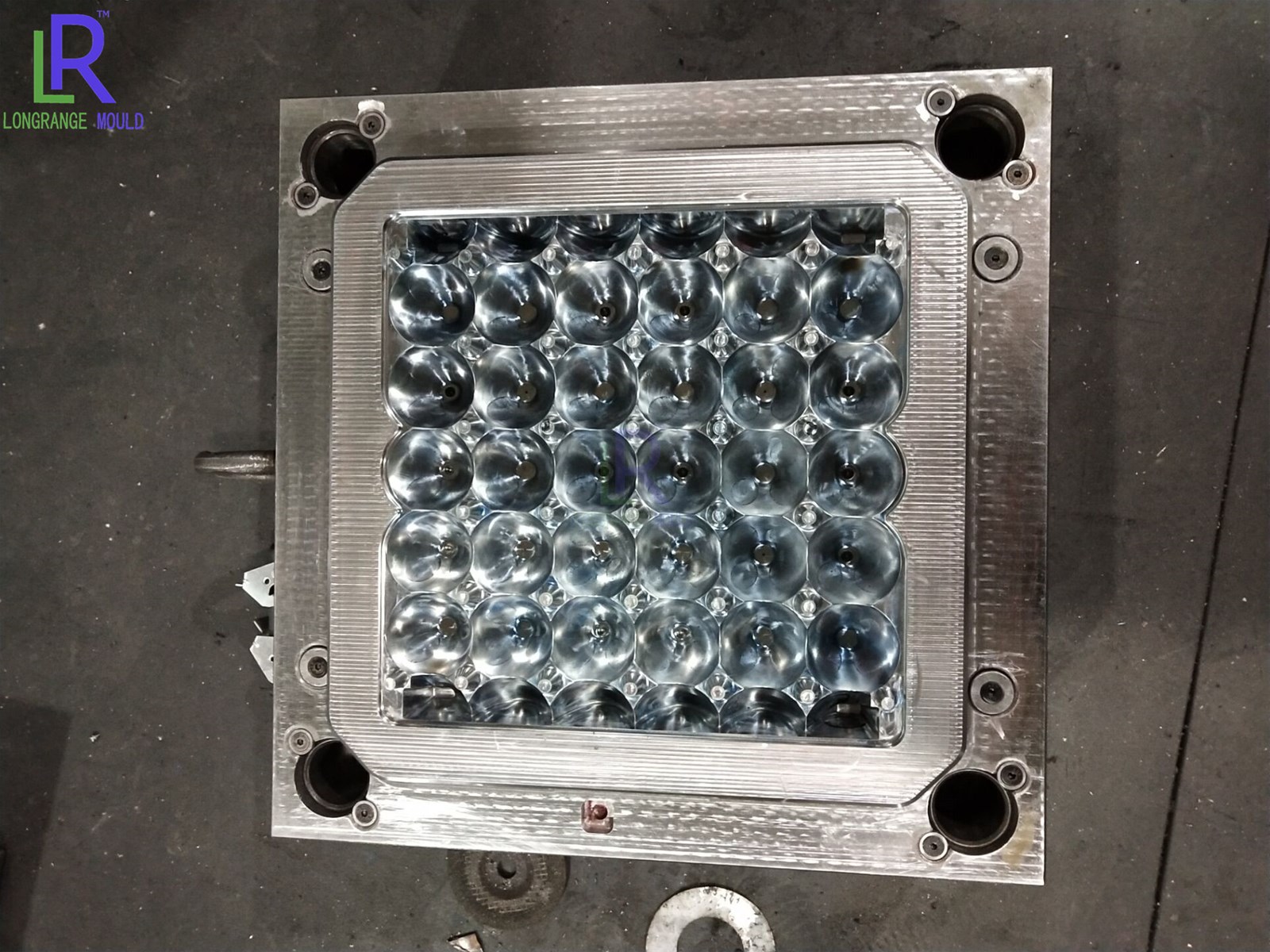 Plastic egg tray mould Taizhou mould