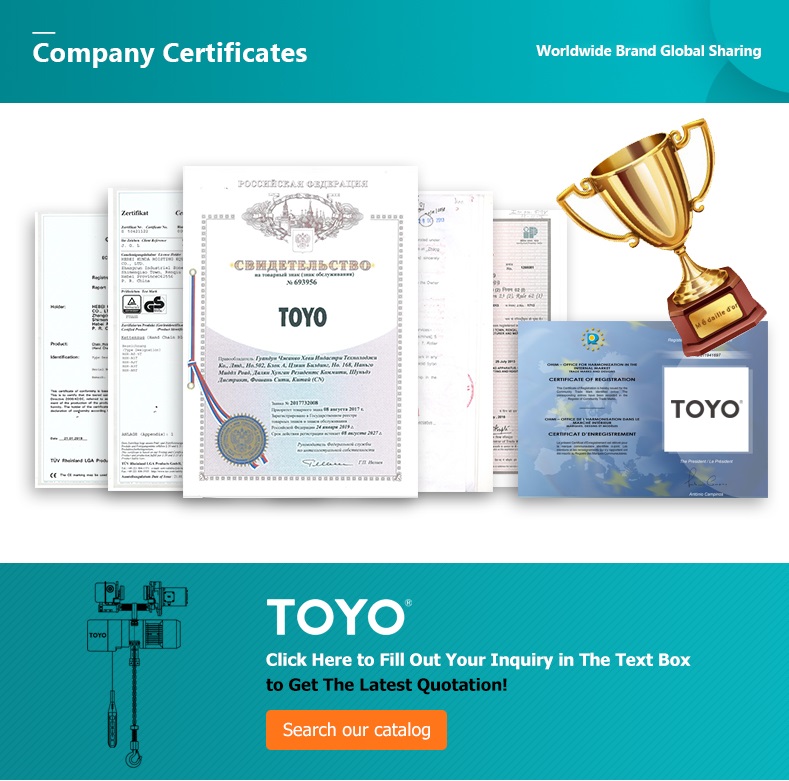 TOYO Factory Price High Quality Electric Chain Hoist Moving Type