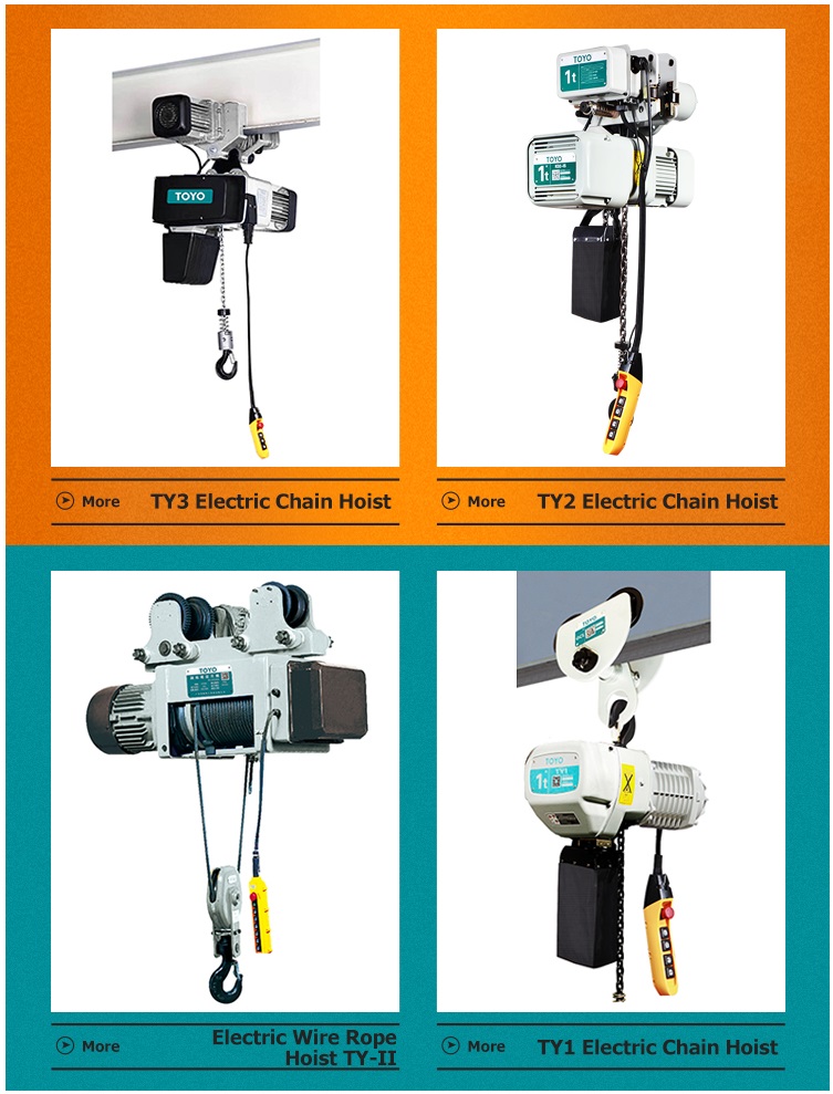 TOYO Factory Price High Quality Electric Chain Hoist Moving Type