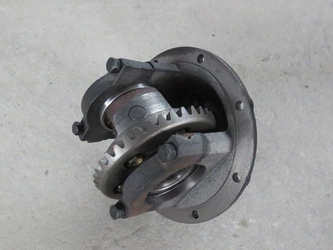 Ductile Iron Differential with 6206 Bearing for Trolley Tricycle Auto Rickshaw