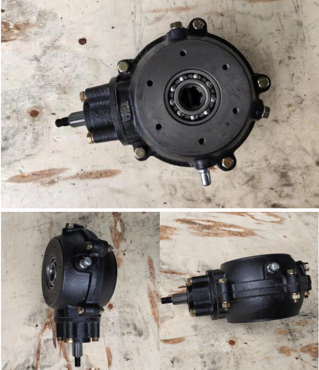 Auto Rickshaw Differential for Separated Tricycle Rear Axle