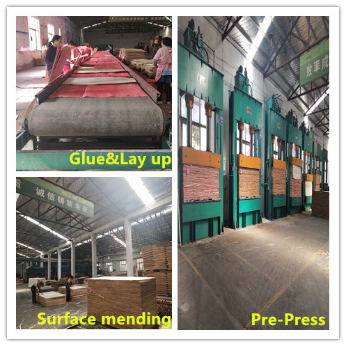Free formaldehyde Poplar Plywood