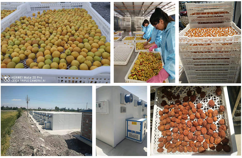 High Efficiency fish dehydrator fish drying machine or anchovies dryer machinedried catfish drying machinefish feed dr