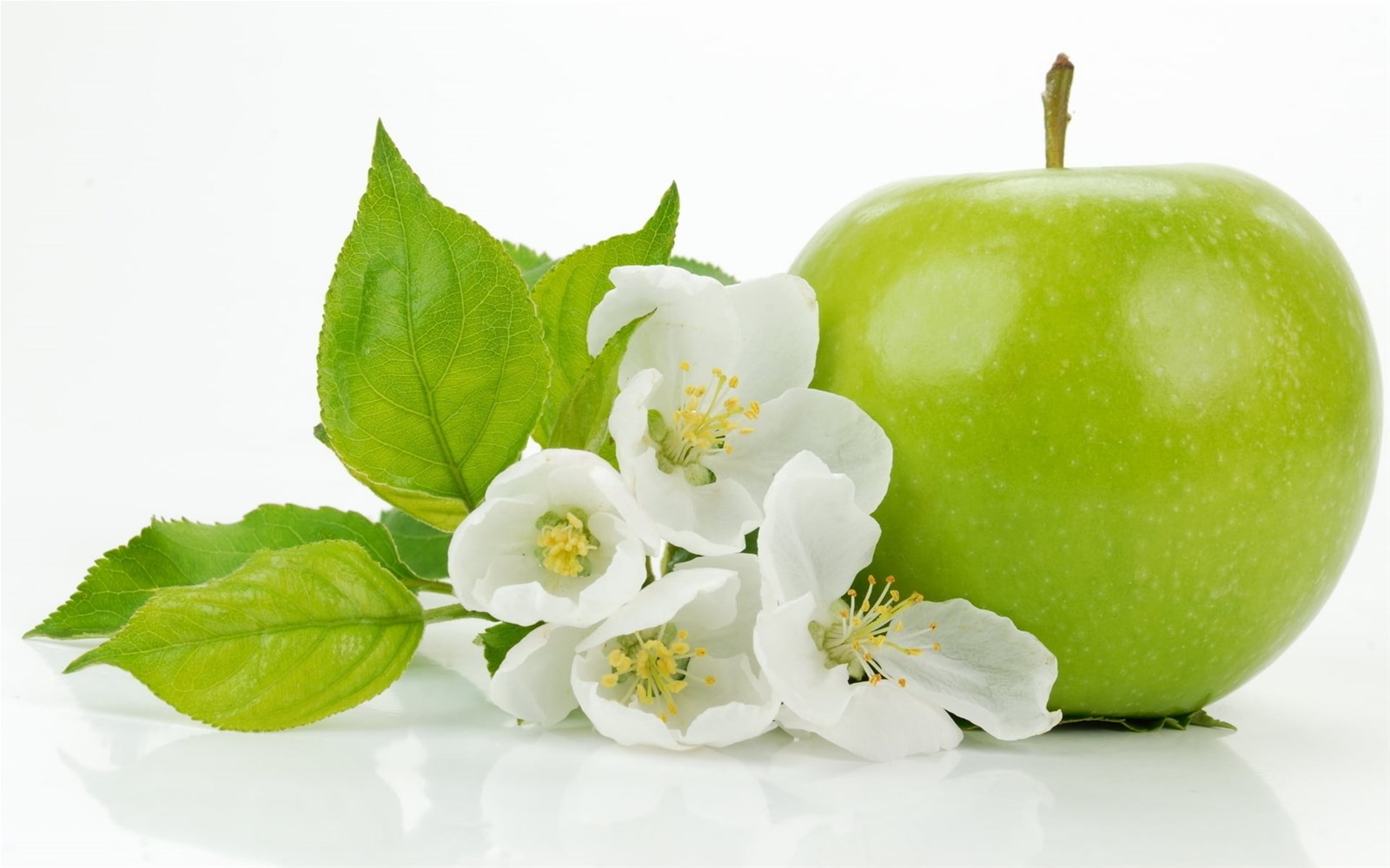 Apple ExtractApple Polyphenols