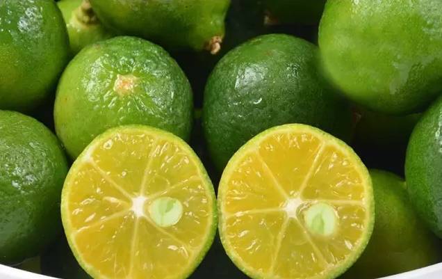 Citrus NobiletinPharmaceutical
