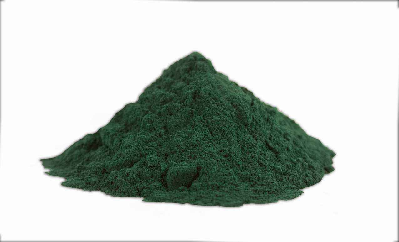 Food Grade Spirulina Powder Algae Food Grade Material