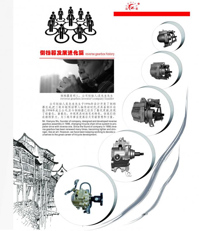 Tricycle Engine Spare Parts Auto Rickshaw Reversing Gear for 110CC Three Wheeler Motorcycle