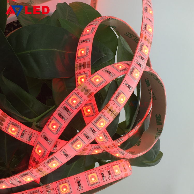 Custom length 60 leds per meter dc 12 24 volt rgb led strip light flexible led strip