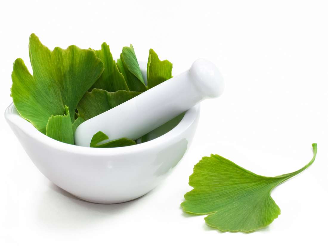 Natural plant extract Ginkgo Biloba Extrac