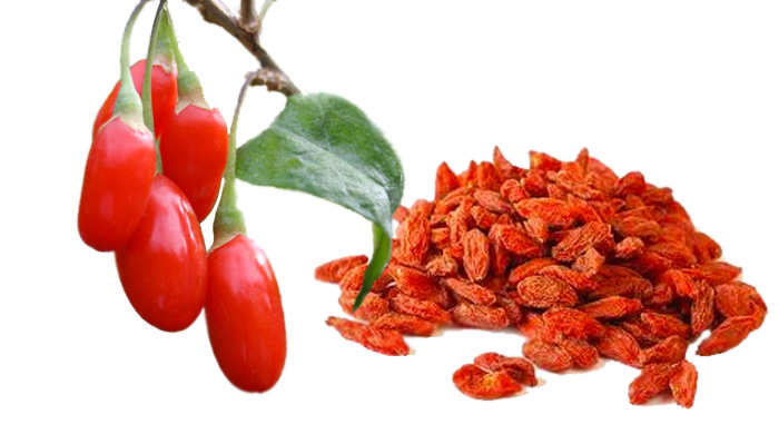Natural Plant Extract Goji Extract