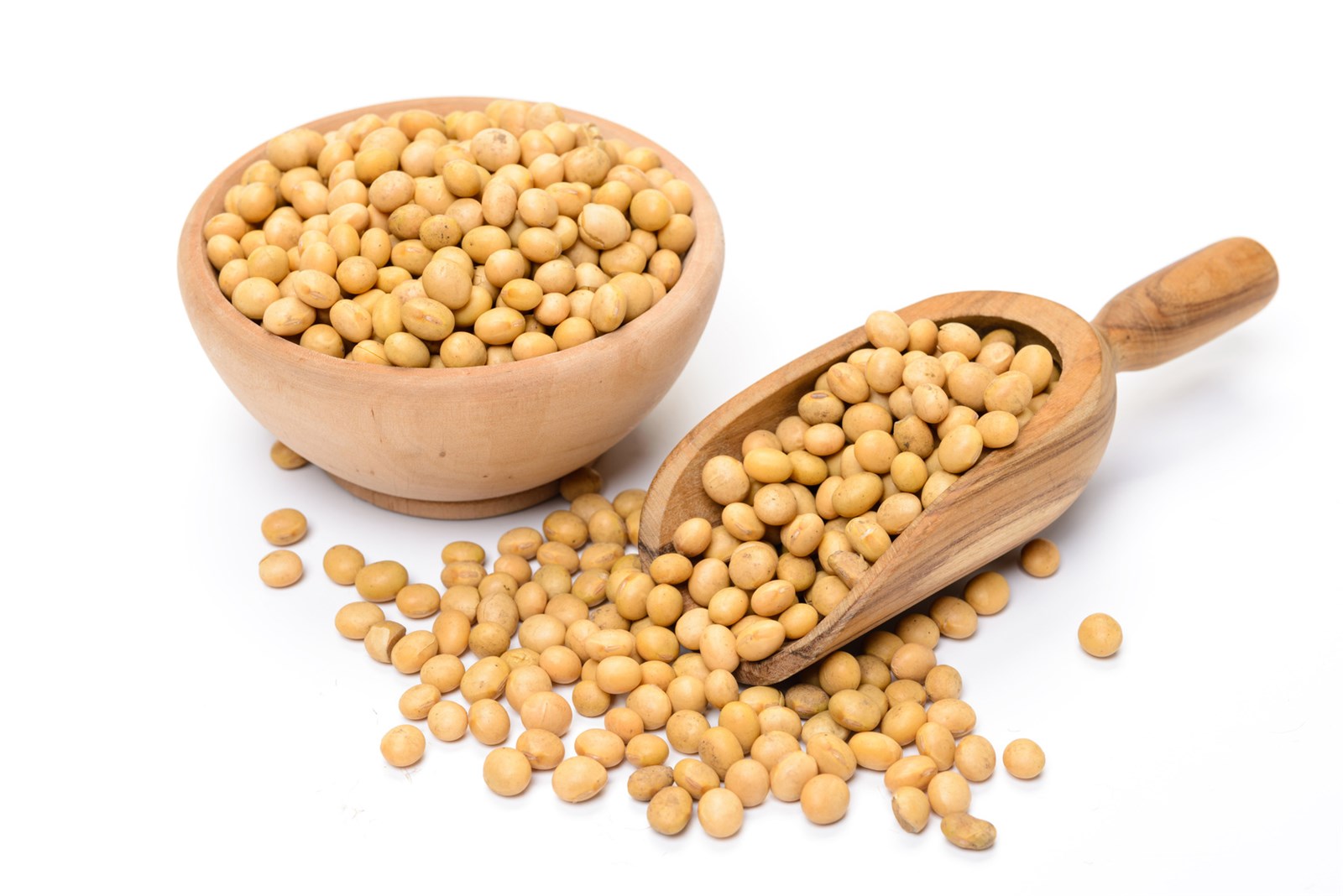 Natural plant extract Soybean Isoflavones