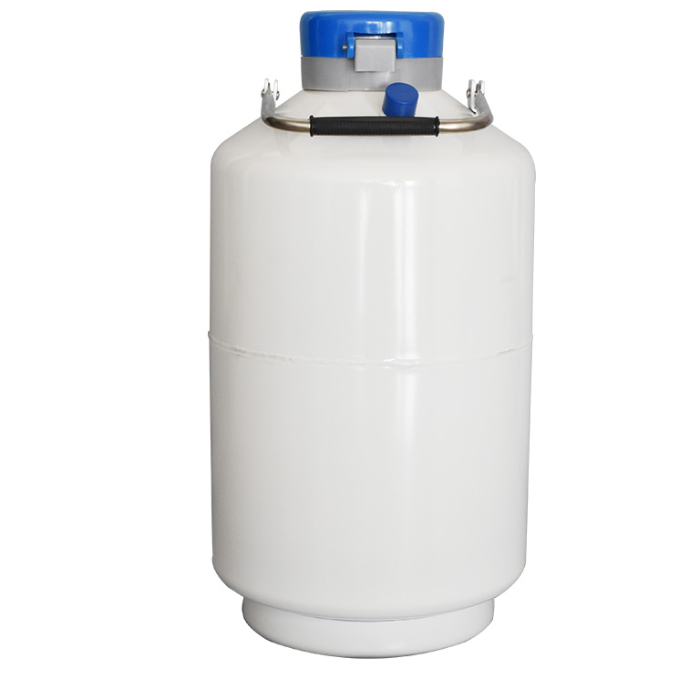 YDS6 small capacity liquid nitrogen container priceln2 tank price