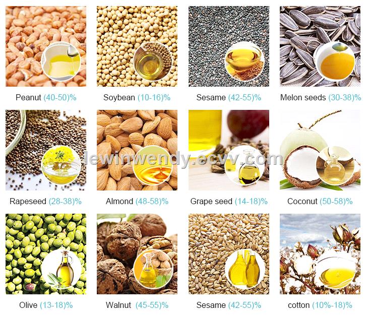 Hydraulic cold sesame oil press machine cocoa oil making olive oil processing machine