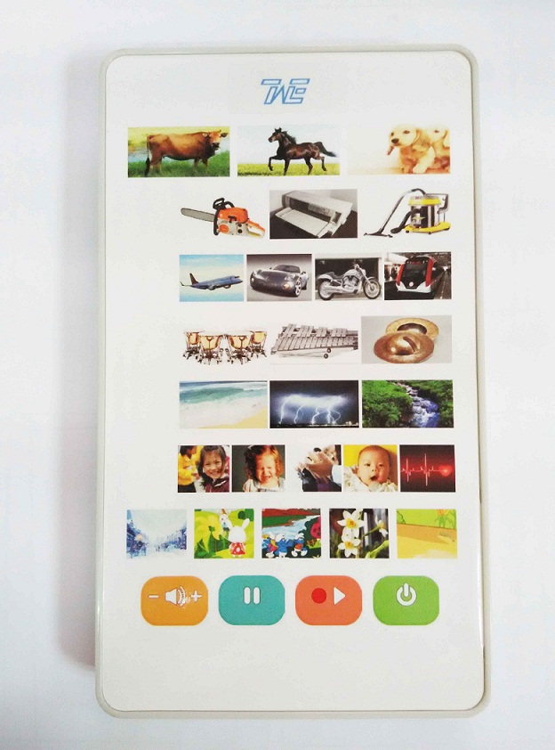 Electroniceducationbaby toys