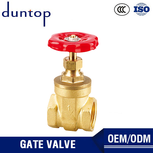 Stainless Steel Gate Valve with key