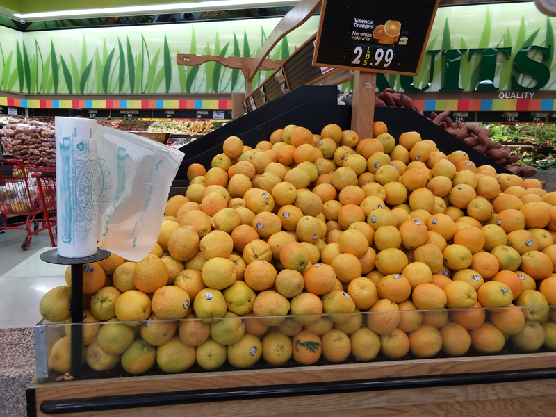 Plastic Roll Bags for Packing Food