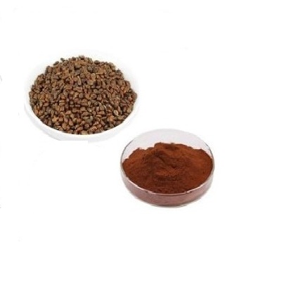 Grape Seed Extract Powder from Factory
