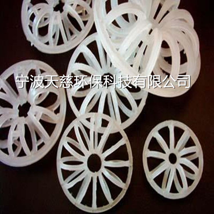 Plastic Tellerette Ring PP PE PPS RPP PCV CPVC PVDF
