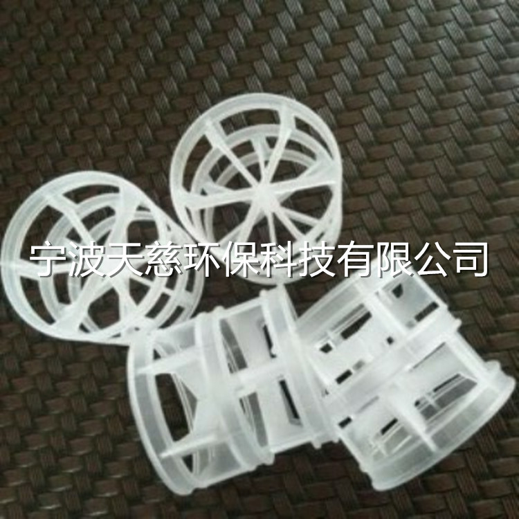 PP PVC PVDF CPVC plastic pall ring