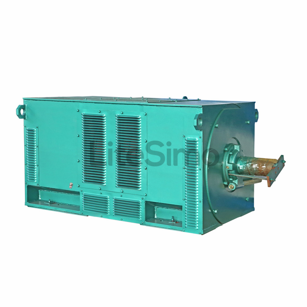 Y series 10KV motor Closed squirrelcage Three phase asynchronous motor H 7101000mm