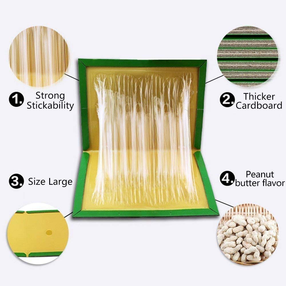 China Mouse Glue TrapRat Glue Board Pad Stciky Trap Supplier