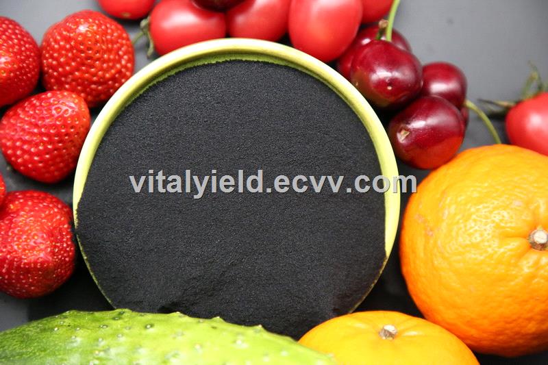 Potassium Fulvate VitalYield Biotech