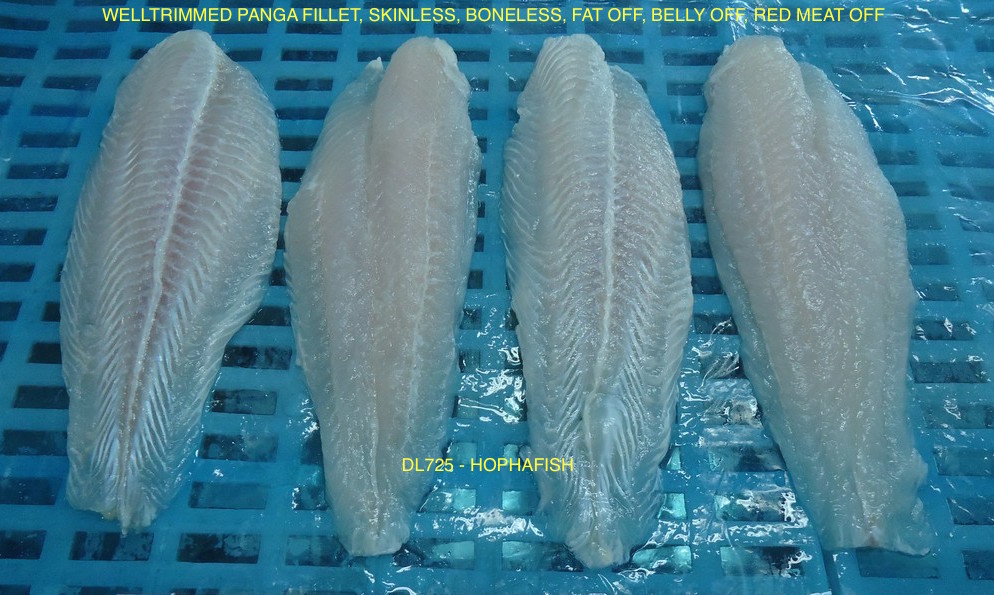 Pangasius Fillet Welltrimmed Hophafish DL725